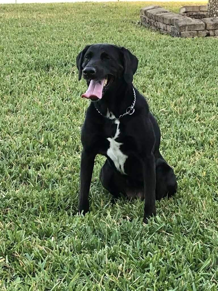 Roxy