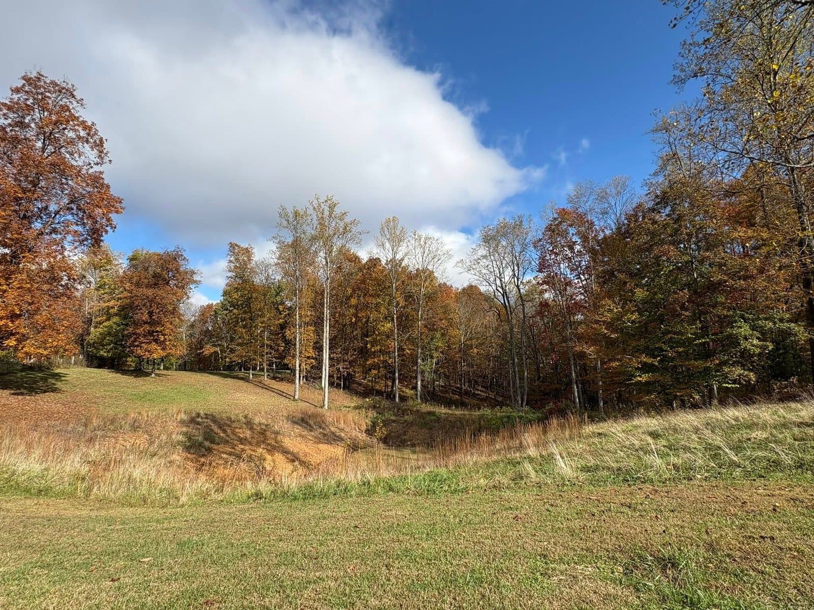 Autumn hillside pasture at Swift Ranch TN, ringed by fall-colored trees under a blue sky.