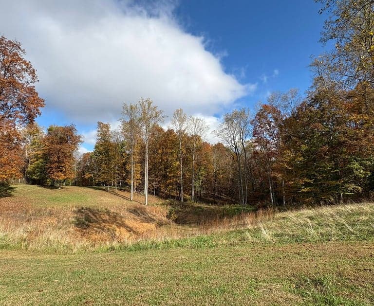 Autumn hillside pasture at Swift Ranch TN where Annye and Rusty now graze.