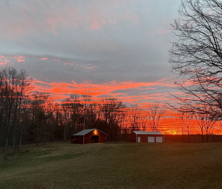 Sunrise, Chores, and Coffee Gone Cold